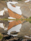 P9118020