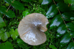 p1050469