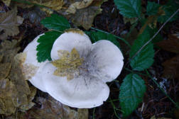 p1050485