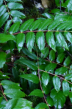 p1050489