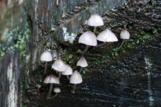 p1050520