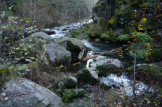p1050541