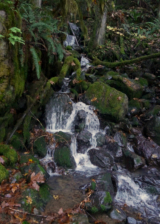p1050700