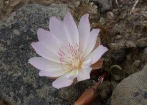 IMGP0240