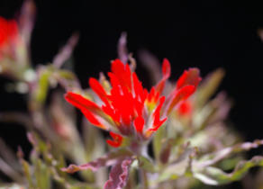 IMGP0659
