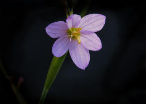 Image0218