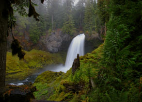 Mckenzie River 136