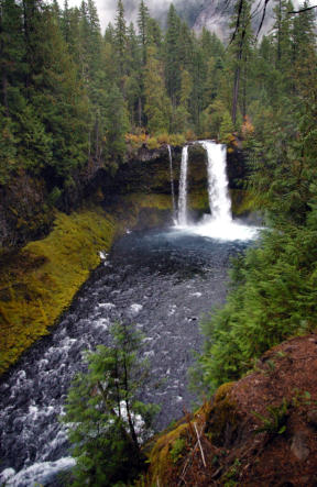 Mckenzie River 193 McK