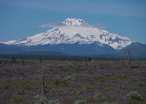 P1010434