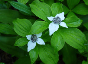 P1020236