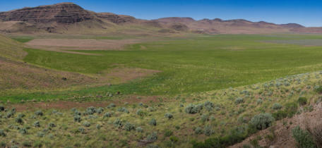 P1110530_panorama
