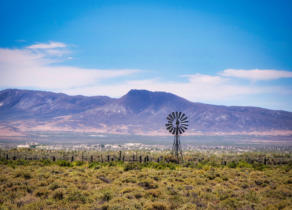 P1291007