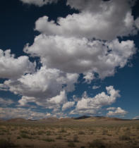P1291334