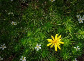 P1300367_edit