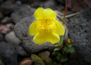 P8136461
