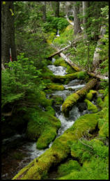 Squaw Creek Falls ©05 Tim Satterfield